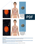 his07-01und02-contextualizacao.pdf