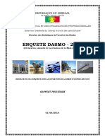 DASMO 2008 Raport Final