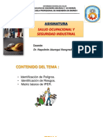 Peligros, Sucesos y Riesgoa PDF