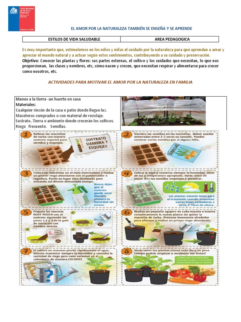 Acciones para Cuidar el Medio Ambiente | PDF | Residuos | Entorno natural