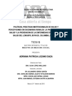 2010 Tesis Maestría Prácticas Institucionales PyP Boyacá 2008-2009 PDF