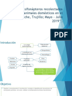 Identificación de Sifonápteros Recolectados en Especies de