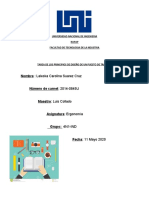 Ergonomia Diseño de Puesto de Trabajo Laleska Suarez