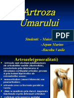 Artroza Umarului