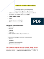 Componentes Anatómicos Del Sistema Estomatognatico