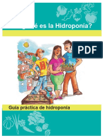 guia practica de hidroponia.pdf