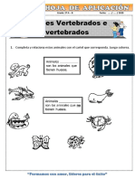 2SO GRADO Animales Vertebrados e Invertebrados PDF