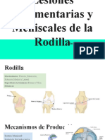 Lesiones Ligamentarias y Meniscales de la Rodilla