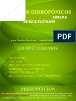 PRIMERA PARTE Cultivos hidropónicos.pptx