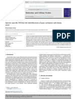 Molecular and Cellular Probes: Rong-Qing Geng