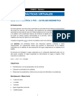 IYA012-G02-PV03-CO-Esp_v0.pdf
