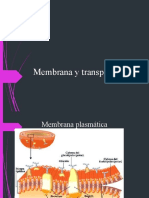 Membranaytransporte