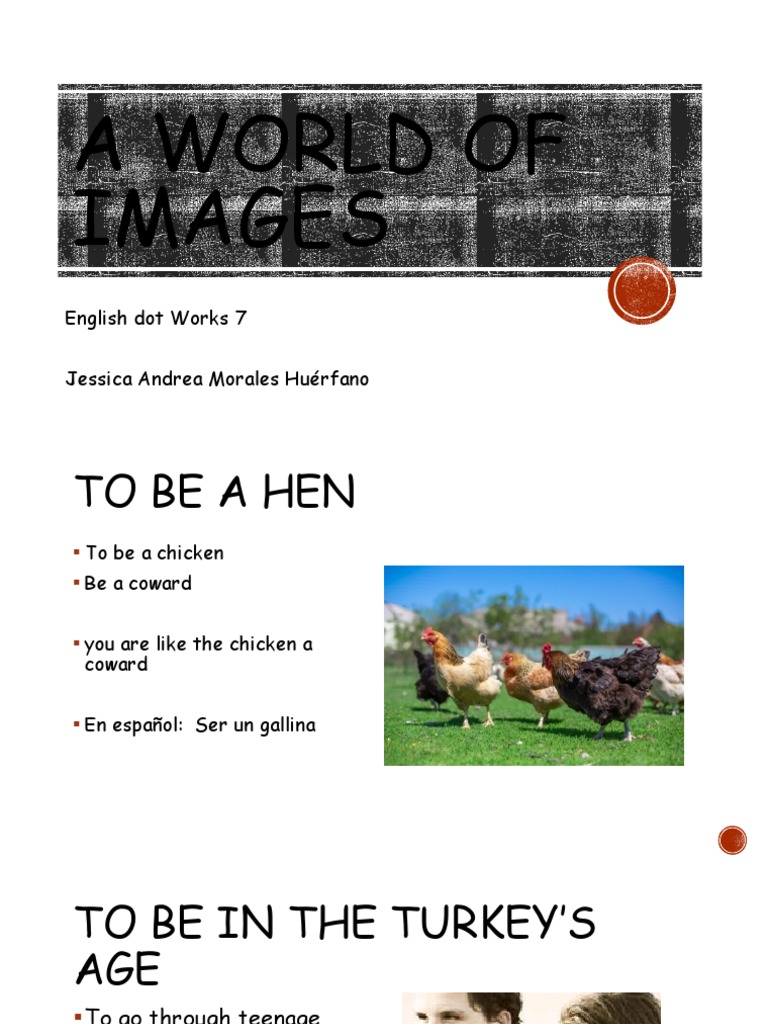 Common Idioms and Their Meanings | PDF