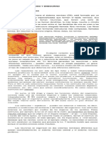 sistema endocrino y nervioso