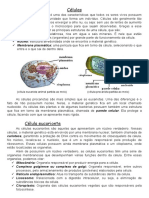 CÉLULAS - Estrutura Resumo 7º Ano