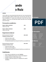 Nueva Plantilla Curriculum Vitae Original Gris Derecha