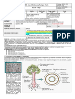 5 GUIA Tejidos Vegetales