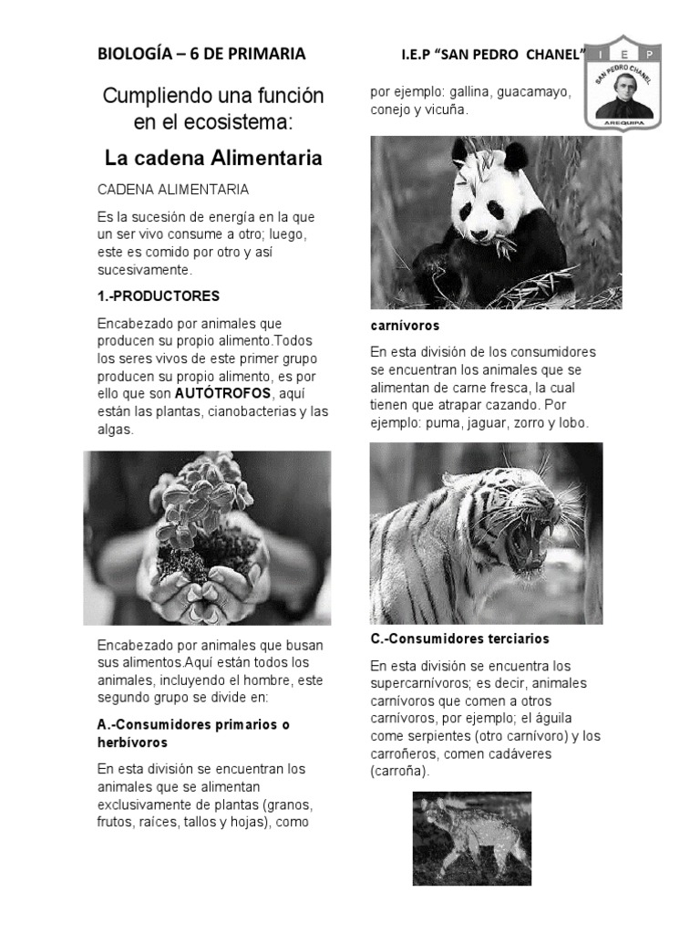Ficha 6 de Primaria Biologia 1 | PDF | Organismos | Biología