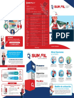 Tript_El Rol de la SUNAFIL.pdf