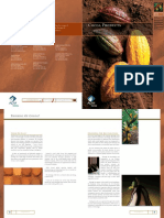 cocoa production process.pdf