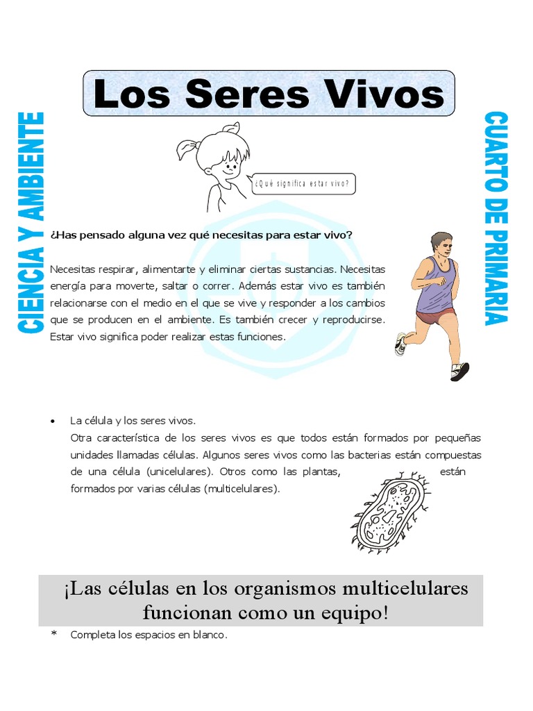 Significado y funciones de los seres vivos | PDF | Nutrientes | Pulmón