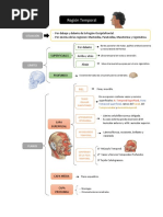 Metámera: Estructura y Funciones Nerviosas | PDF