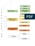 TOXICO TIPOS DE TOXICOS MAPA VISUAL.docx