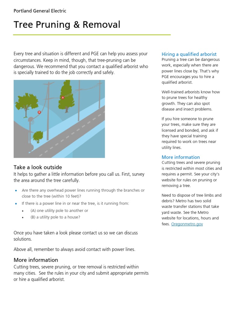Tree Safety Tips for PGE Customers | PDF | Pruning | Nature