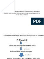 BDNF y Aguda Respuesta Del Cortisol Al Ejercicio