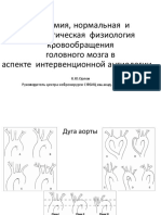 анатомия интракраниальных артерий.pdf