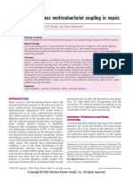 Acoplamiento Ventriculo Arterial Sepsis PDF