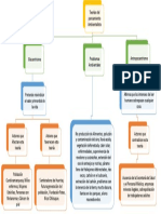 Mapa Conceptual