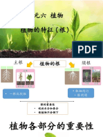 单元六 植物 植物的特征 根