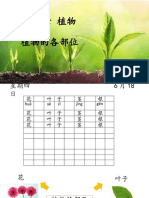 单元六 植物 植物的各部位