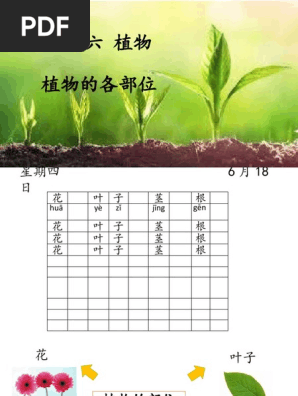 单元六植物植物的各部位 Pdf