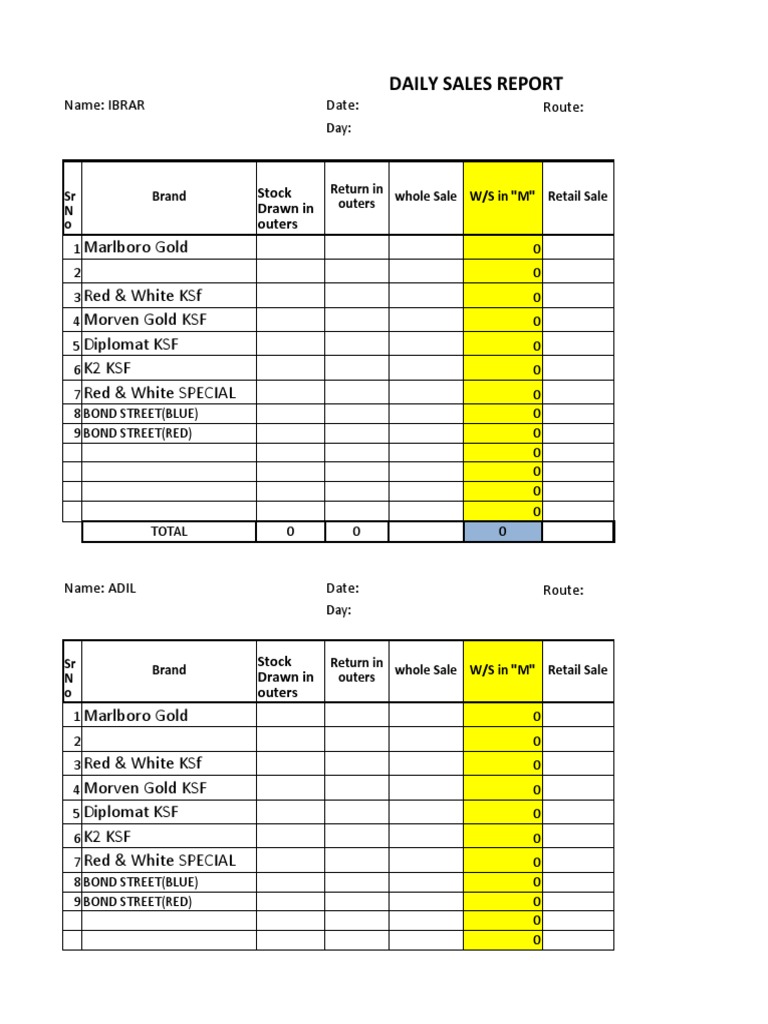 Daily Sales Report Overview | PDF | Product Introductions | Graphic Design