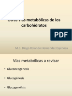 Otras Vías Metabólicas de Los Carbohidratos