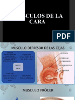 Musculos de La Cara