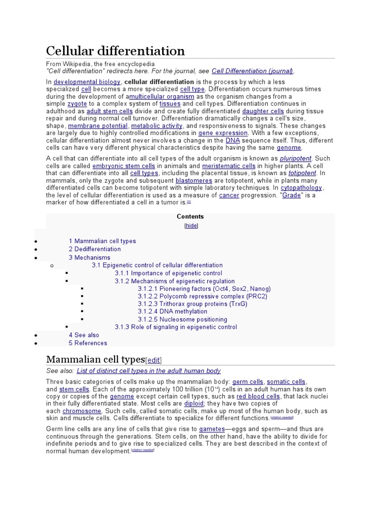 Cellular Differentiation Basics | PDF | Cellular Differentiation | Cell ...