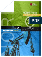 NORM Primer - Industry Edition