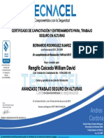 Certificado en Alturas David PDF
