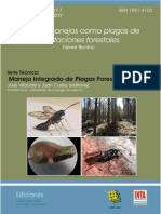 Liebres en Forestaciones