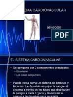 Sistema Cardiovascular