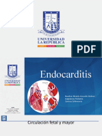 Endocarditis