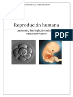 Reproducción humana (anatomía fisiología fecundación embarazo y parto)