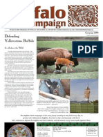 Defending Yellowstone Buffalo: Campaign 2004