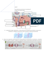 Membrana Celular y Transporte