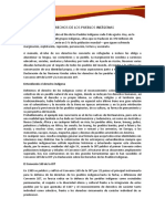 12 - DERECHOS DE LOS PUEBLOS INDIGENAS (26 de Junio)