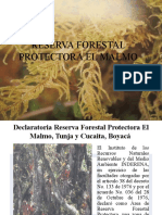 Reserva Forestal Protectora El Malmo 1