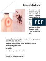 Ficha Nemotecnica (Enfermedad Del Lyme)